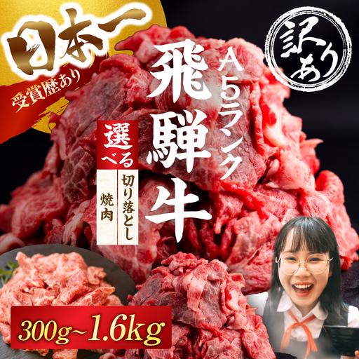 ふるさと納税 ≪訳あり≫ 飛騨牛 A5 切り落とし 400g|訳あり 岐阜県大垣市