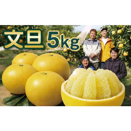 ふるさと納税 文旦 宿毛 の 土佐文旦 5kg 家庭用 高知県宿毛市