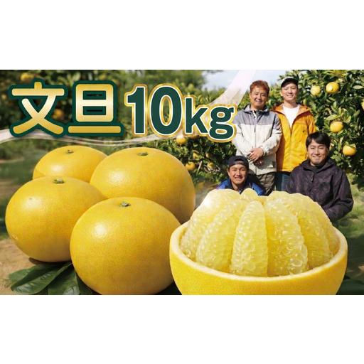 ふるさと納税 文旦 芳醇 な 土佐文旦 10kg 家庭用 高知県宿毛市