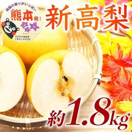 ふるさと納税 [amazon価格]新高梨 約1.8kg(5〜8玉)[梨 なし 果物 フルーツ デザート 食後 熊本県産]※配送不可:離島 熊本県錦町