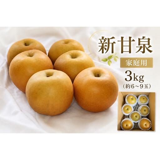 ふるさと納税 [2026年度先行予約]数量限定 鳥取県産 新甘泉 家庭用 3kg(約6?9玉)[8月20日以降発送] 鳥取県北栄町