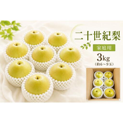 ふるさと納税 [2026年度先行予約]数量限定 鳥取県産 二十世紀梨 家庭用 3kg(約6?9玉)[8月20日以降発送] 鳥取県北栄町