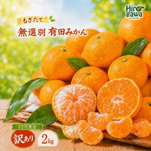 ふるさと納税 もぎたて 無選別 有田 みかん 2kg 訳あり 12月 配送 / ミカン 蜜柑 柑橘 温州みかん 和歌山 有田 ※2026年12月上旬〜12月下旬に.. 和歌山県広川町