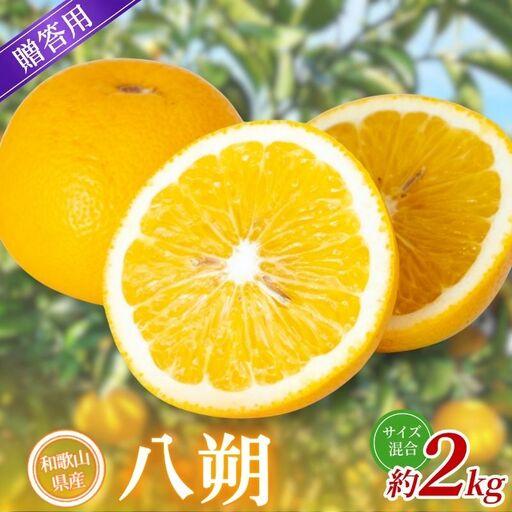 ふるさと納税 [贈答用] 森本農園の手選別 八朔 約2kg 和歌山県産 サイズ混合 [北海道・沖縄・離島配送不可][2027年1月中旬〜4月中旬.. 和歌山県かつらぎ町