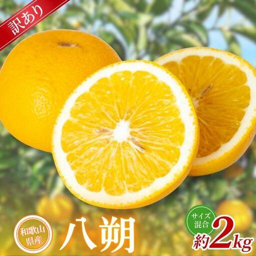 ふるさと納税 [訳あり] 森本農園の手選別 八朔 約2kg 和歌山県産 サイズ混合 [北海道・沖縄・離島配送不可][2027年1月中旬〜4月中旬.. 和歌山県かつらぎ町