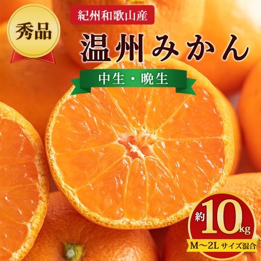 ふるさと納税 [先行予約][秀品]紀州和歌山産 温州みかん 約10kg(箱込み) M〜2L サイズ混合(中生・晩生) 和歌山県美浜町