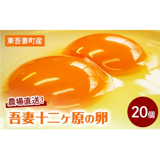 ふるさと納税 卵吾妻十二ヶ原の卵堀田養鶏場二黄卵卵[20個] 群馬県東吾妻町