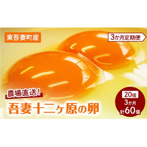 ふるさと納税 卵吾妻十二ヶ原の卵堀田養鶏場二黄卵卵[20個][定期便3ヶ月] 群馬県東吾妻町