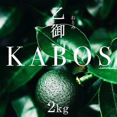 ふるさと納税 かぼす発祥の地臼杵市乙見・ブランドかぼす[乙御KABOS]2kg カボス 青果 柑橘 大分県臼杵市