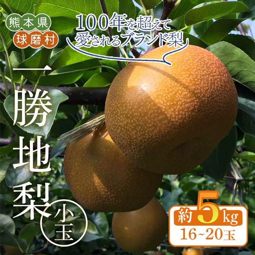 ふるさと納税 FKP9-721 [先行予約][訳あり]一勝地梨 小玉 約5kg 熊本県球磨村