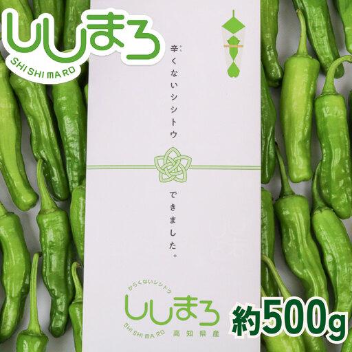 ふるさと納税 [先行予約] ししとう 500g 野菜 獅子唐 高知県南国市