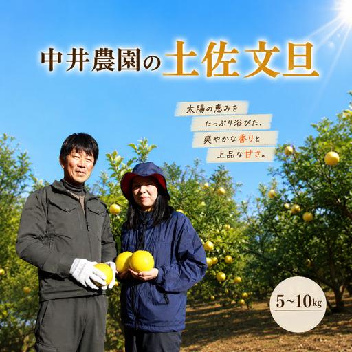 ふるさと納税 文旦 5kg 家庭用 中井農園 高知県宿毛市