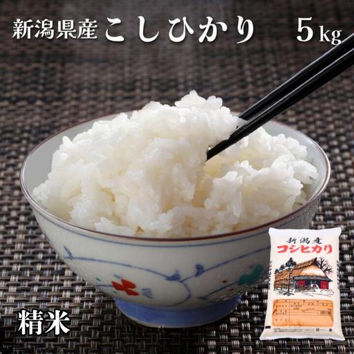 ふるさと納税 令和8年産 新米 新潟県 こしひかり 精米 5kg 特別栽培米 減農薬 新潟県見附市