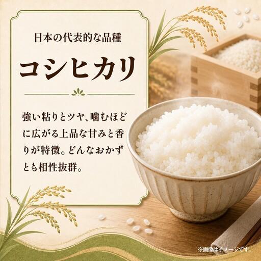 ふるさと納税 令和8年度新米 コシヒカリ 玄米 30kg | 新米 お米