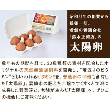 ふるさと納税 【12回毎月コース】旬の野菜・フルーツセット 野菜 定期便 【太陽卵6個付き】 13品目から15品目の豪華セット [item0141 長崎県 雲.. 長崎県雲仙市｜furunavi｜04