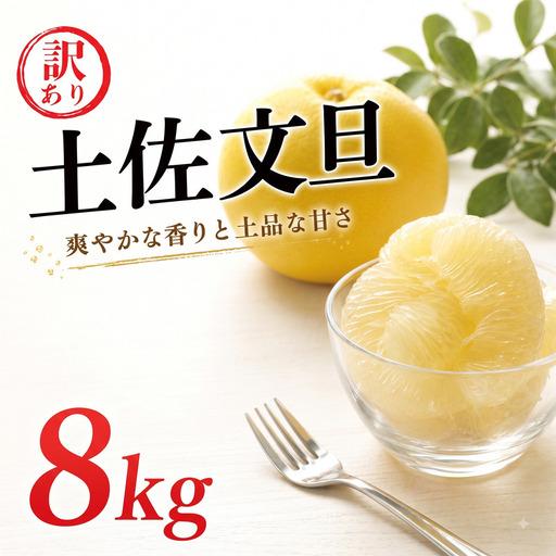ふるさと納税 [先行予約]訳あり 土佐 文旦 8kg サイズミックス 清水農園 愛南町 愛媛県 愛媛県愛南町