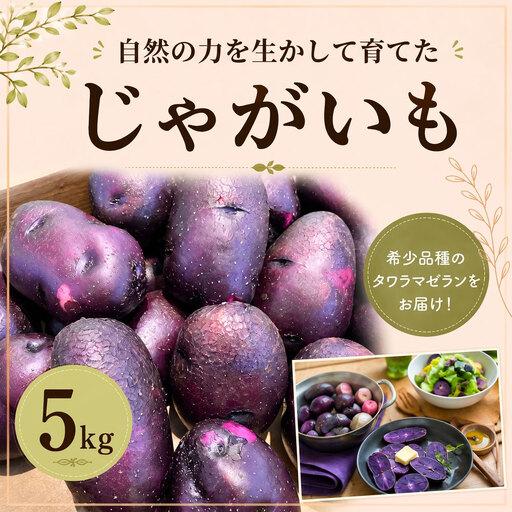 ふるさと納税 じゃがいも タワラマゼラン 希少品種 5kg 千葉県東金市