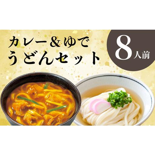 ふるさと納税 さぬきうどん & カレーうどん セット 8人前 定期便 6回 出汁 スープ付き 香川県丸亀市