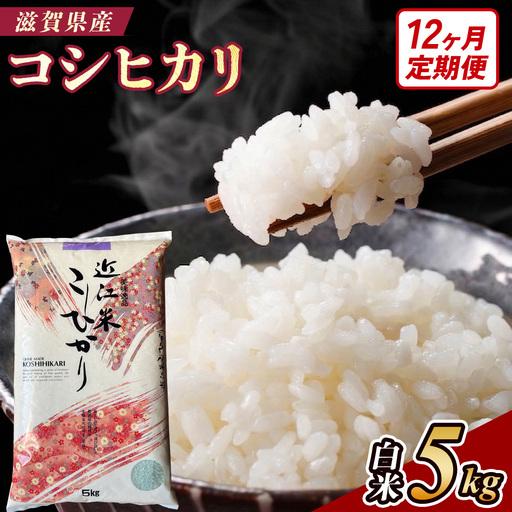ふるさと納税 [令和8年産 新米 先行予約][定期便]近江米コシヒカリ 5kgx12回定期便(精米)※2026年9月〜発送 滋賀県甲賀市
