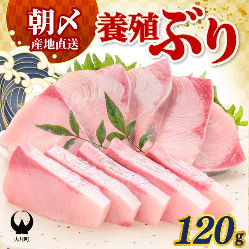ふるさと納税 ぶり 120g 養殖 冷蔵ぶり 高知県大月町
