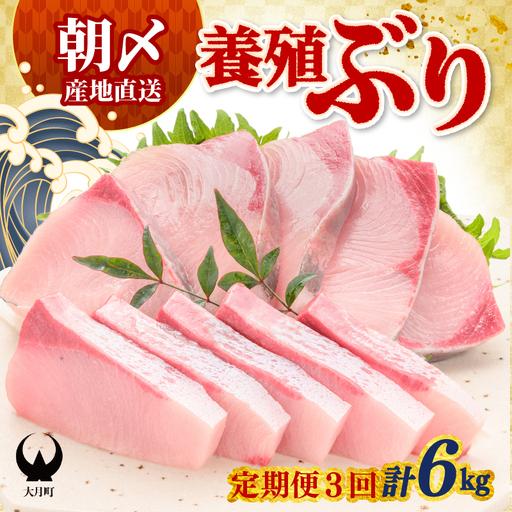 ふるさと納税 [定期便]ぶり 2kg × 3回 養殖 冷蔵ぶり 高知県大月町