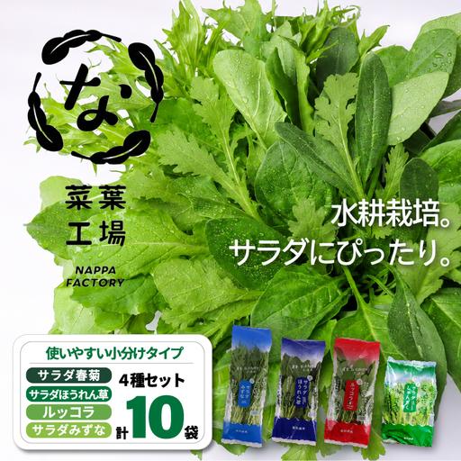 ふるさと納税 [先行予約] 4種セット 春菊 みずな ほうれん草 ルッコラ (2026年11月〜発送) | 水菜 水耕 葉物 野菜 南国市 高知県南国市