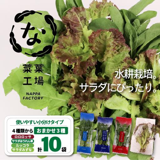 ふるさと納税 おまかせ3種セット ロロロッサ ルッコラ ほうれん草 みずな サラダ | 水耕 葉物 野菜 南国市 高知県南国市