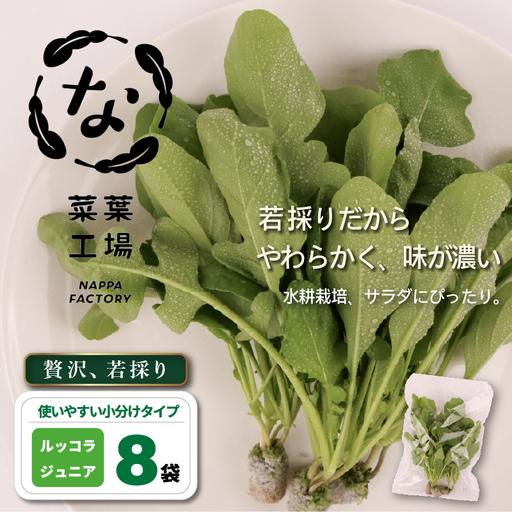 ふるさと納税 若採り ルッコラ ジュニア | サラダ 水耕 葉物 野菜 南国市 高知県南国市