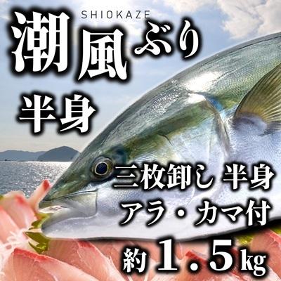 ふるさと納税 うすき産潮風ぶり・半身(約1.5kg弱) 大分県臼杵市