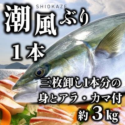 ふるさと納税 うすき産潮風ぶり・1本・三枚卸(約3kg弱) 大分県臼杵市