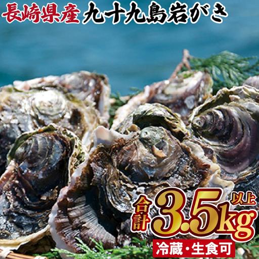 ふるさと納税 かき[ 岩牡蠣 ]九十九島岩かき 産地直送 生食可 A162 長崎県佐世保市