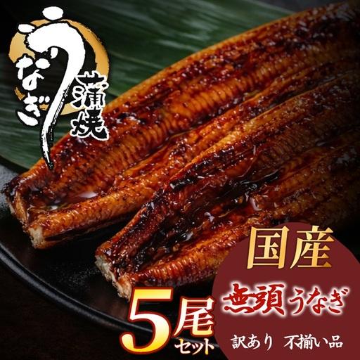 ふるさと納税 BC023.[不揃い訳あり]うなぎの蒲焼き5尾セット 福岡県新宮町