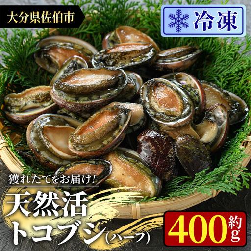 ふるさと納税 冷凍 天然活きトコブシ (約400g・ハーフサイズ) 魚介 貝 トコブシ とこぶし 網焼き バター焼き バーベキュー 獲れたて 冷凍 海の直.. 大分県佐伯市
