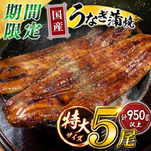 ふるさと納税 特大 国産 うなぎ 蒲焼 5尾(計950g以上) 宮崎県高鍋町