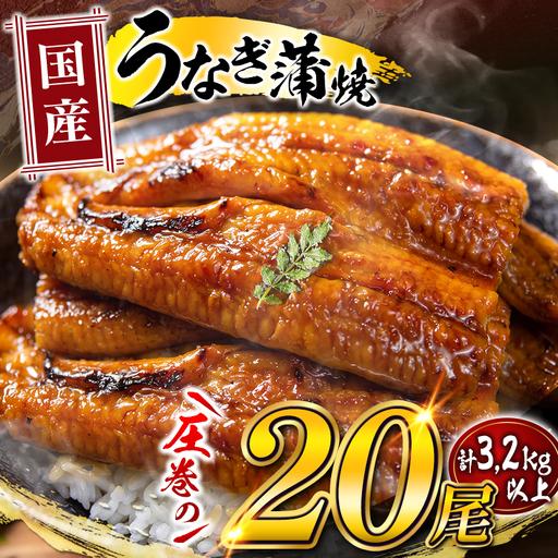 ふるさと納税 国産 うなぎ 蒲焼 20尾(計3200g以上) 宮崎県高鍋町