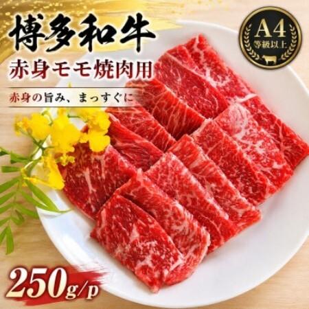 ふるさと納税 この味プレミアム![A4〜A5]博多和牛赤身モモ焼肉用 250g/p(大野城市)[配送不可地域:離島][1770968] 福岡県大野城市