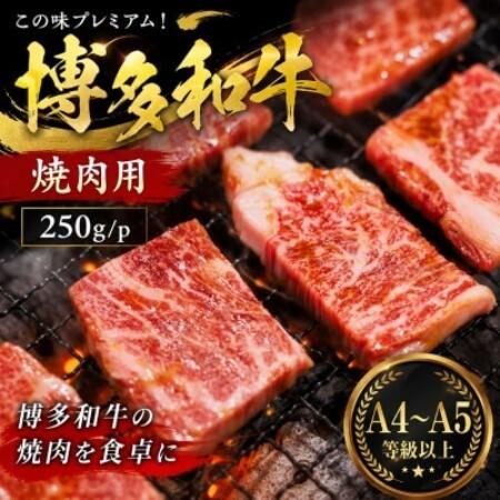ふるさと納税 この味プレミアム![A4〜A5]博多和牛焼肉用 250g/p(大野城市)[配送不可地域:離島][1770972] 福岡県大野城市
