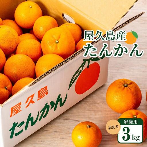 ふるさと納税 2027年発送 屋久島産たんかん 家庭用 訳あり 約3kg(S〜2Lサイズ・少々キズあり)[先行予約/数量限定] 鹿児島県屋久島町