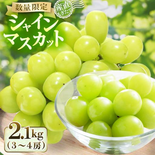 ふるさと納税 ぶどう [産直もぎたて]シャインマスカット 2.1kg 宮崎県小林市