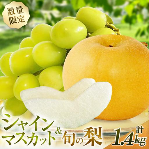 ふるさと納税 ぶどう 旬の梨とシャインマスカット 食べ比べセット 約1.4kg(シャインマスカット 梨 フルーツ 果物 詰合せ 豊水 新興 新高) 宮崎県小林市