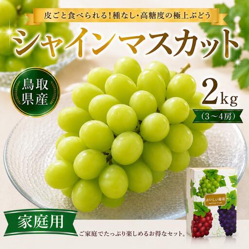 ふるさと納税 [鳥取県産]シャインマスカット 2kg (3〜4房)家庭用[期間限定(9月20日まで)] 鳥取県北栄町
