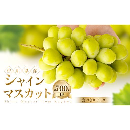 ふるさと納税 [食べきりサイズ] シャインマスカット 約700g ぶどう ブドウ 葡萄 香川県産 国産 フルーツ 果物 香川県土庄町