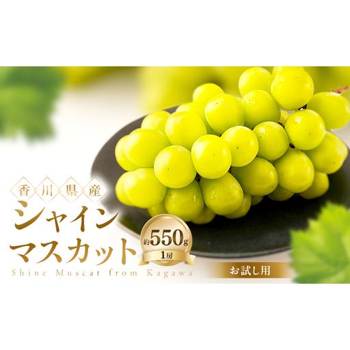 ふるさと納税 [お試し用] シャインマスカット 約550g ぶどう ブドウ 葡萄 香川県産 国産 フルーツ 果物 香川県土庄町