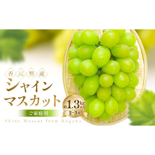 ふるさと納税 ご家庭用 シャインマスカット 約1.3kg以上(2〜3房) ぶどう ブドウ 葡萄 香川県産 国産 フルーツ 果物 香川県土庄町