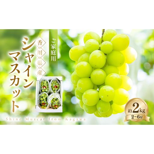 ふるさと納税 ご家庭用 シャインマスカット 約2kg ぶどう ブドウ 葡萄 香川県産 国産 フルーツ 果物 香川県土庄町
