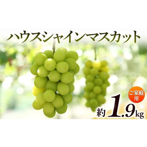 ふるさと納税 [8月31日(夏休み)までの期間限定価格!!]ご家庭用 シャインマスカット 約1.9kg 香川県土庄町