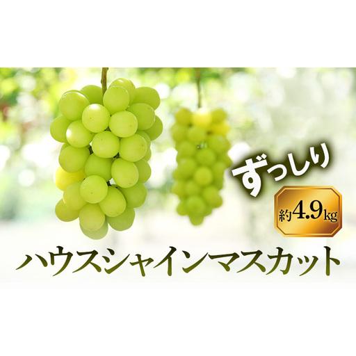 ふるさと納税 [8月31日(夏休み)までの期間限定価格!!]ハウスシャインマスカット ずっしり 約4.9kg 香川県土庄町