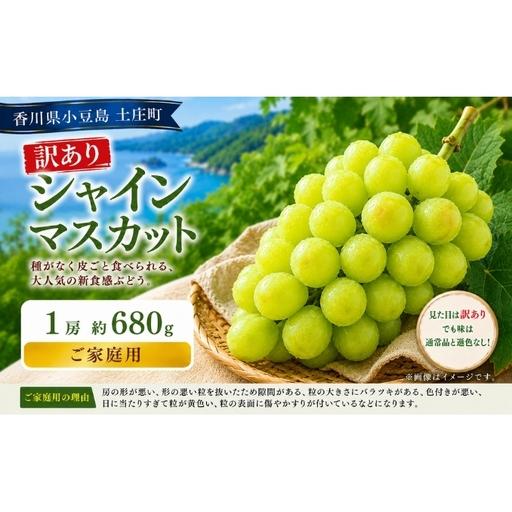 ふるさと納税 訳あり シャインマスカット 1房 約680g マスカット フルーツ 果物 香川県 土庄町 香川県土庄町