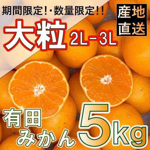 ふるさと納税 [先行予約]和歌山県産 有田みかん 大玉 大粒 5kg 2L〜3L 和歌山県有田川町