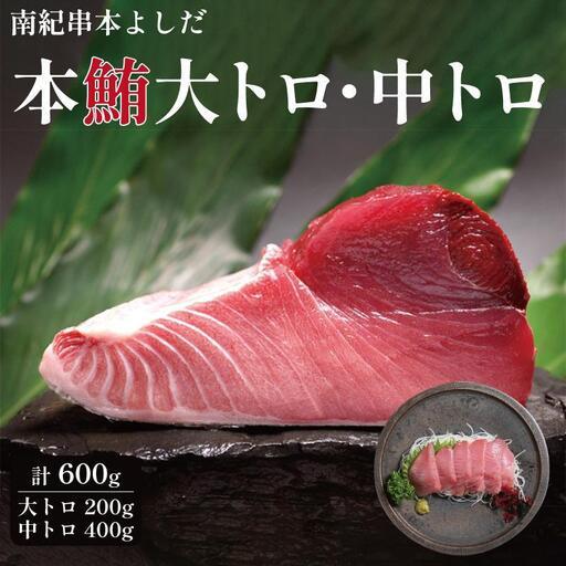 ふるさと納税 南紀串本よしだ 本鮪 大トロ サク 200g 中トロ サク 400gセット 和歌山県高野町